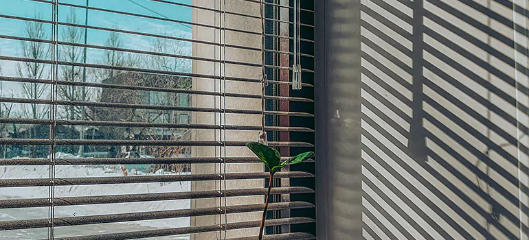 Commercial Window Blinds in Town 'n' Country, FL