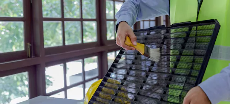 Traditional Window Grille Installation Options in Town 'n' Country, FL