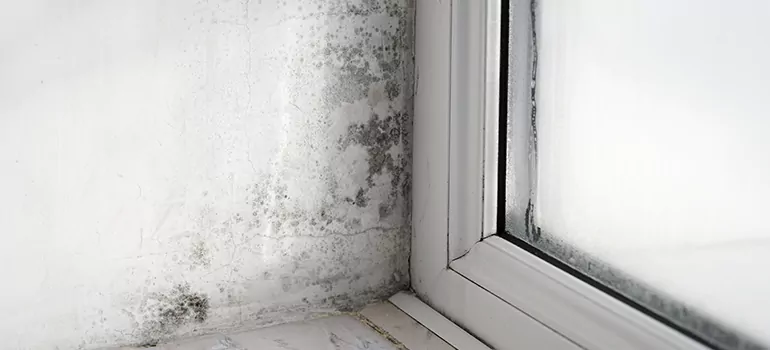 Town 'n' Country, FL