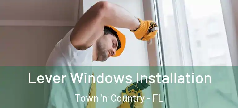 Lever Windows Installation Town 'n' Country - FL