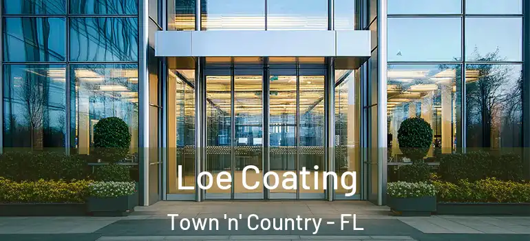 Loe Coating Town 'n' Country - FL
