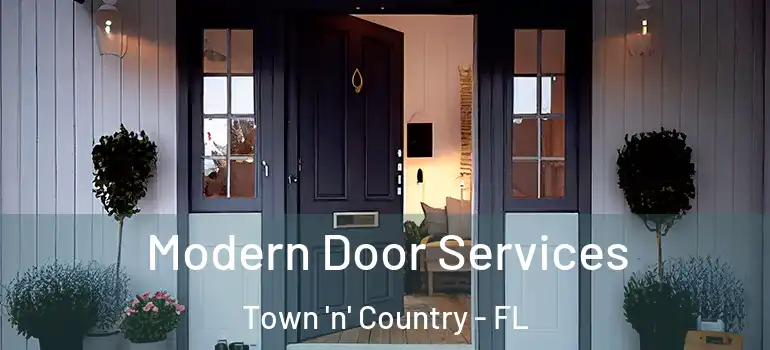 Modern Door Services Town 'n' Country - FL