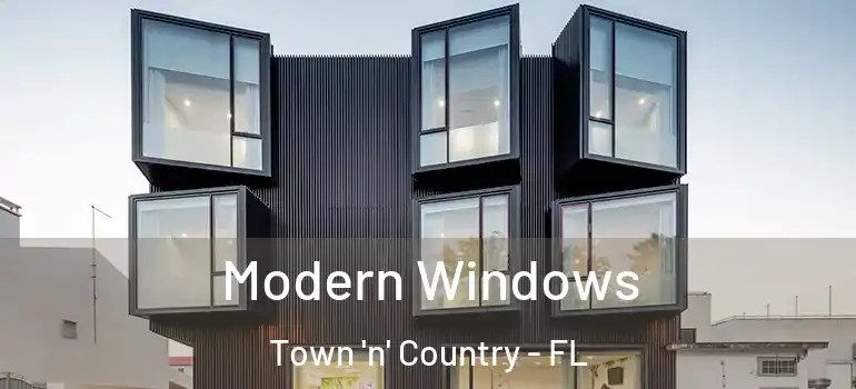 Modern Windows Town 'n' Country - FL