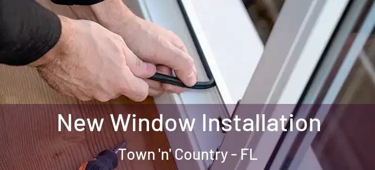 New Window Installation Town 'n' Country - FL