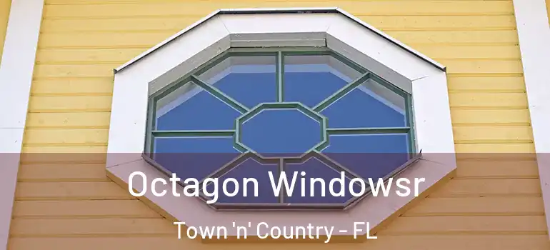 Octagon Windowsr Town 'n' Country - FL
