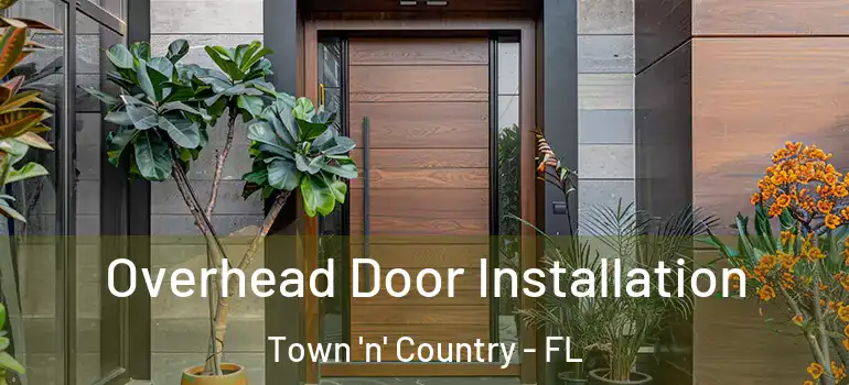 Overhead Door Installation Town 'n' Country - FL
