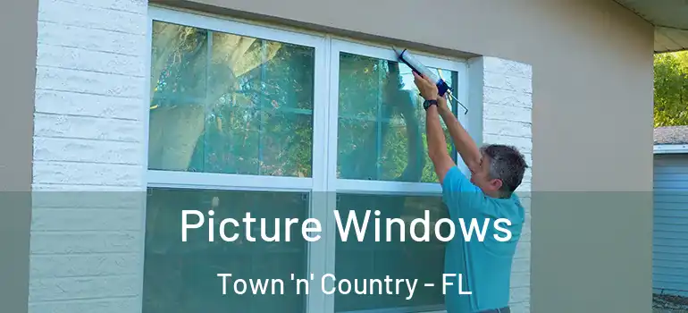 Picture Windows Town 'n' Country - FL