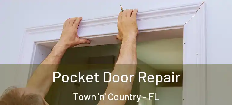 Pocket Door Repair Town 'n' Country - FL