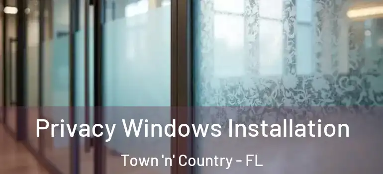Privacy Windows Installation Town 'n' Country - FL