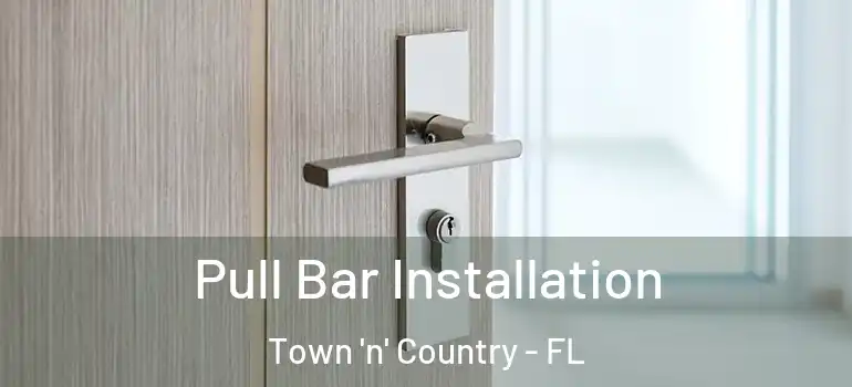 Pull Bar Installation Town 'n' Country - FL
