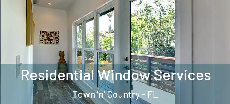 Residential Window Services Town 'n' Country - FL