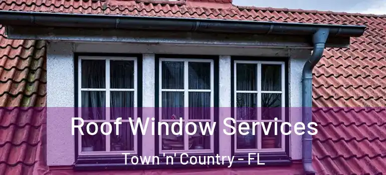 Roof Window Services Town 'n' Country - FL