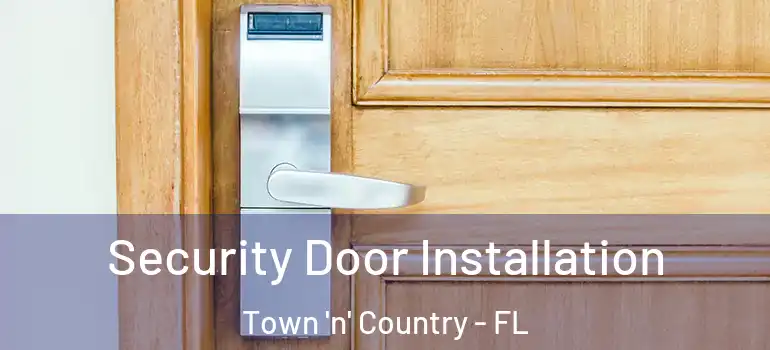 Security Door Installation Town 'n' Country - FL