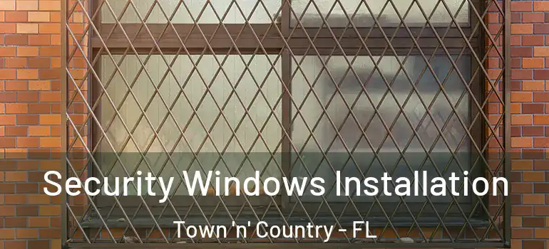 Security Windows Installation Town 'n' Country - FL
