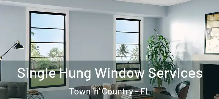 Single Hung Window Services Town 'n' Country - FL