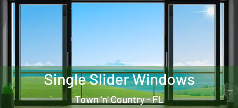 Single Slider Windows Town 'n' Country - FL