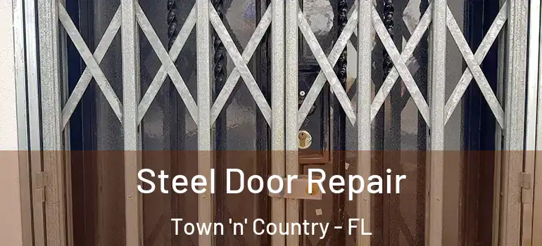Steel Door Repair Town 'n' Country - FL