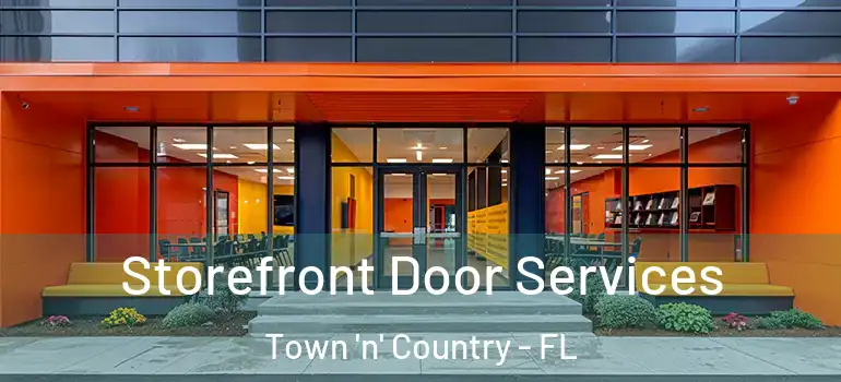 Storefront Door Services Town 'n' Country - FL