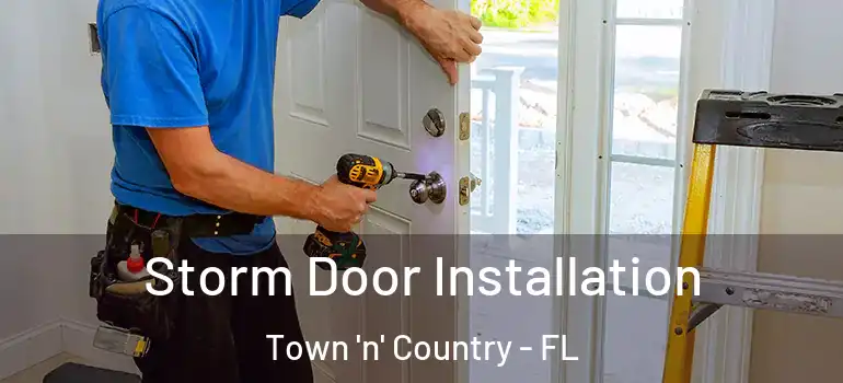 Storm Door Installation Town 'n' Country - FL