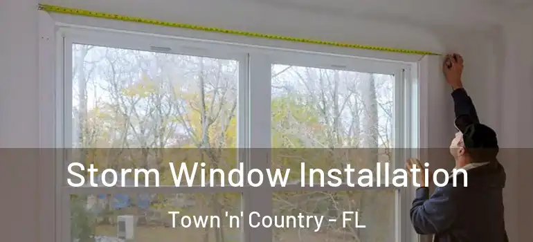 Storm Window Installation Town 'n' Country - FL