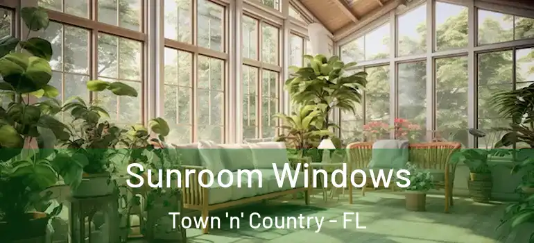 Sunroom Windows Town 'n' Country - FL