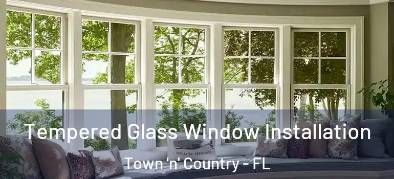 Tempered Glass Window Installation Town 'n' Country - FL