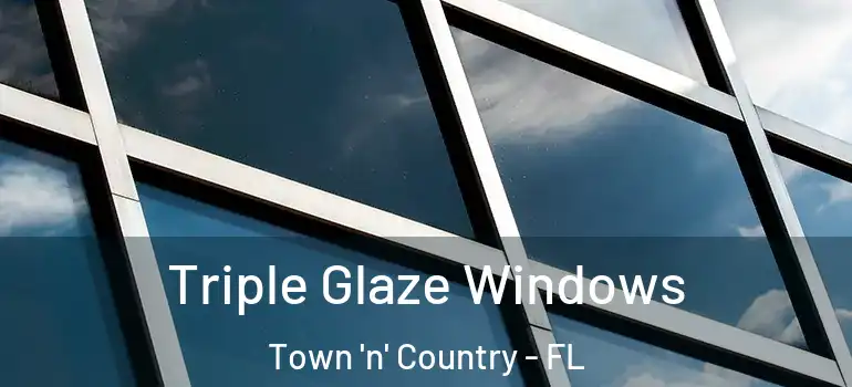 Triple Glaze Windows Town 'n' Country - FL