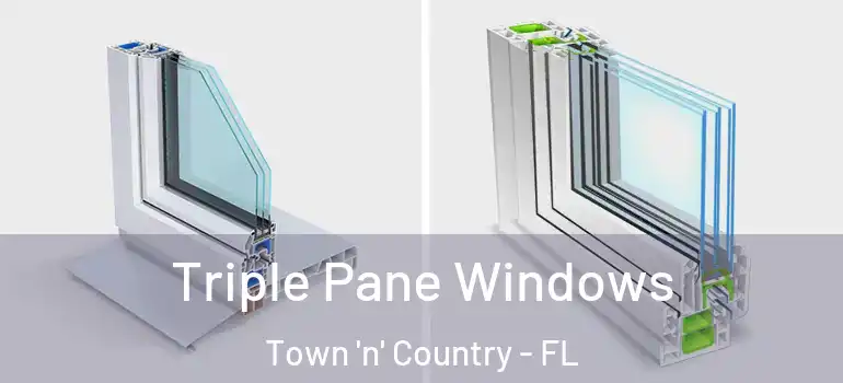 Triple Pane Windows Town 'n' Country - FL