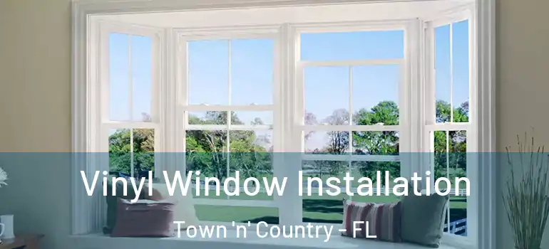Vinyl Window Installation Town 'n' Country - FL