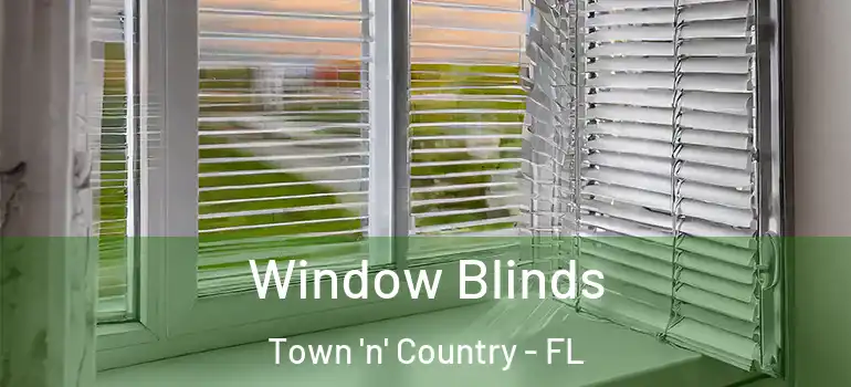 Window Blinds Town 'n' Country - FL