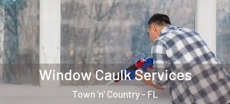 Window Caulk Services Town 'n' Country - FL
