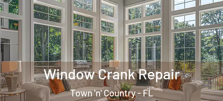 Window Crank Repair Town 'n' Country - FL