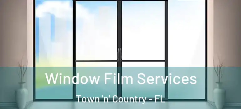 Window Film Services Town 'n' Country - FL