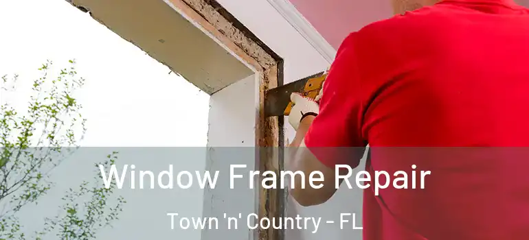 Window Frame Repair Town 'n' Country - FL