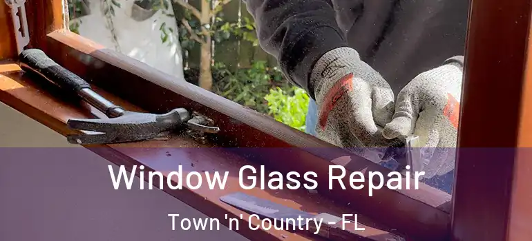 Window Glass Repair Town 'n' Country - FL