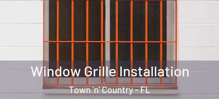 Window Grille Installation Town 'n' Country - FL
