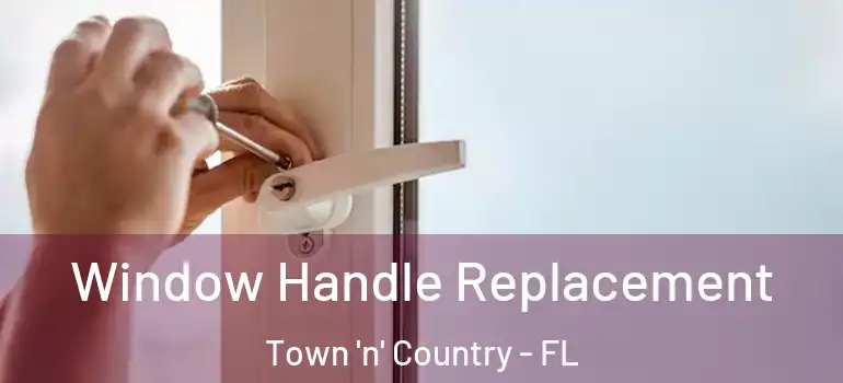 Window Handle Replacement Town 'n' Country - FL