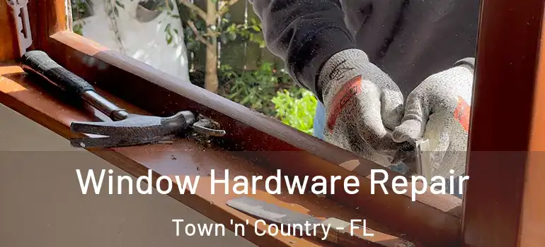 Window Hardware Repair Town 'n' Country - FL