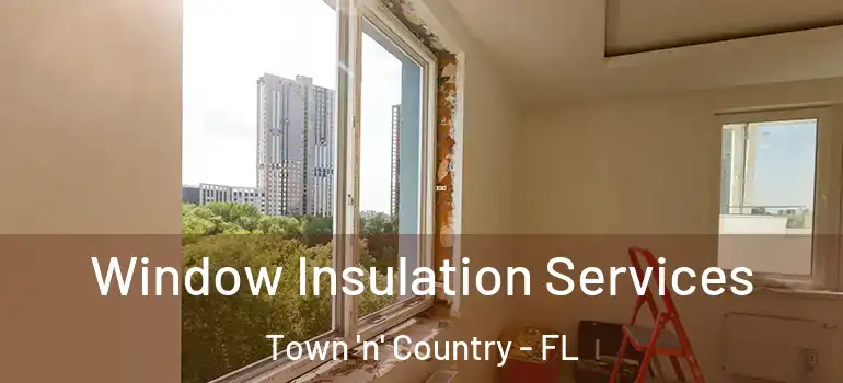 Window Insulation Services Town 'n' Country - FL