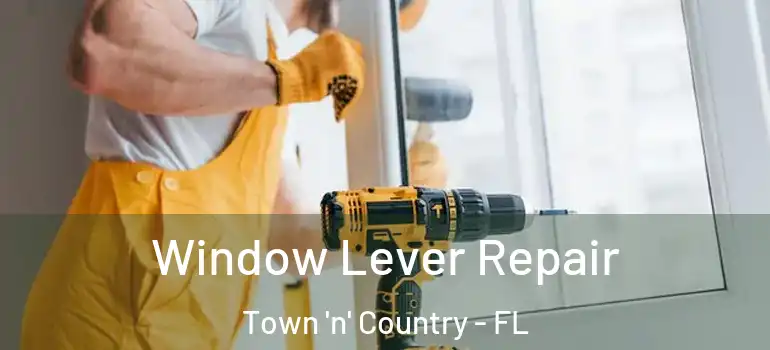 Window Lever Repair Town 'n' Country - FL