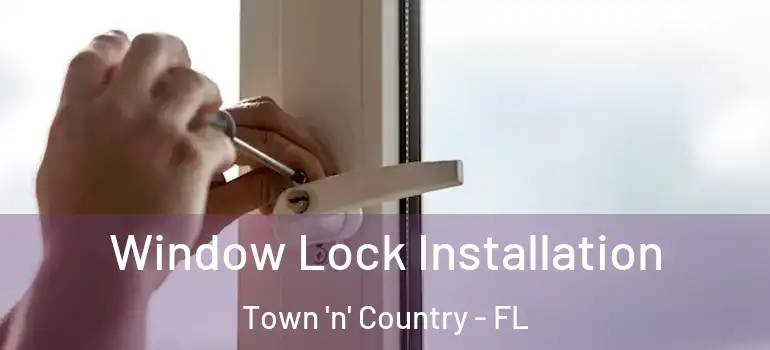 Window Lock Installation Town 'n' Country - FL
