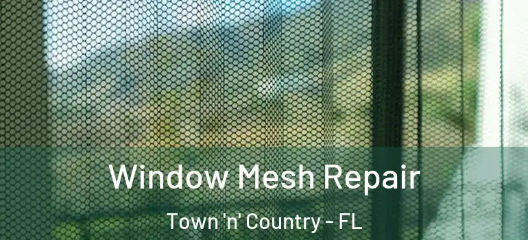 Window Mesh Repair Town 'n' Country - FL