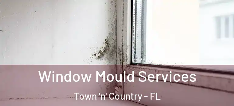 Window Mould Services Town 'n' Country - FL