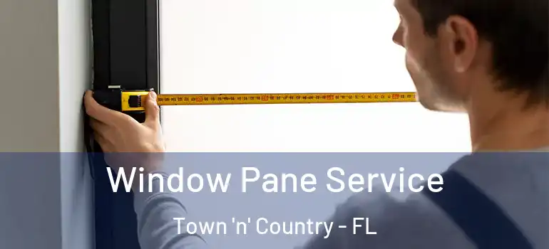 Window Pane Service Town 'n' Country - FL