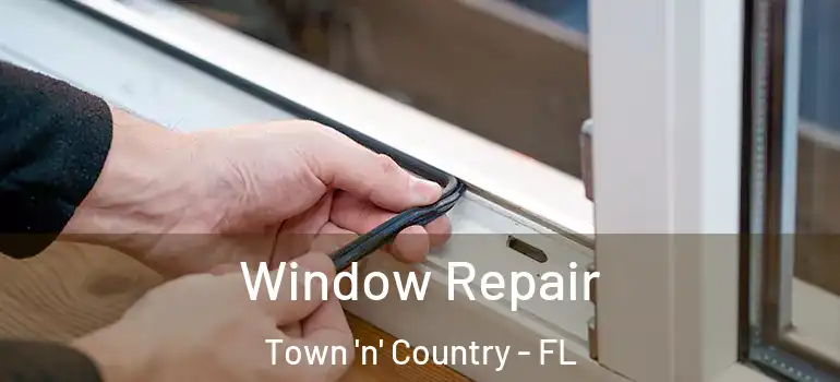 Window Repair Town 'n' Country - FL