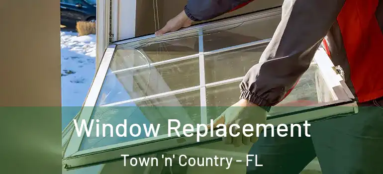 Window Replacement Town 'n' Country - FL