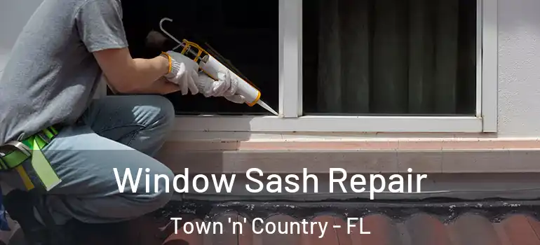Window Sash Repair Town 'n' Country - FL