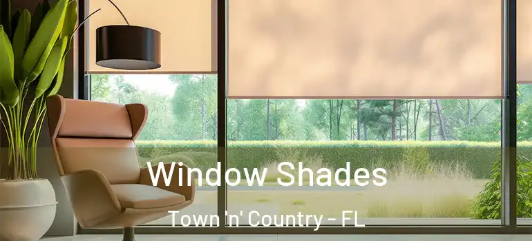 Window Shades Town 'n' Country - FL