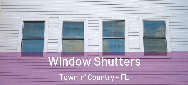 Window Shutters Town 'n' Country - FL
