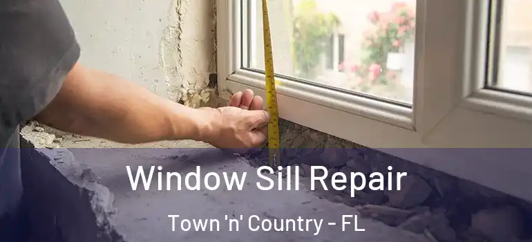 Window Sill Repair Town 'n' Country - FL